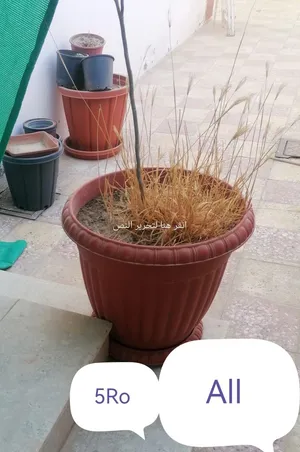 3 اصيص للبيع المستعجل جدا