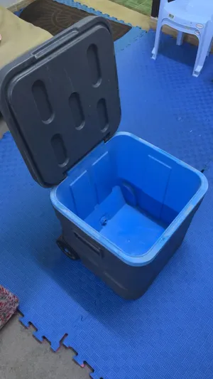 كولد بوكس اصلي