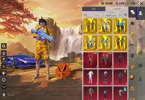 Pubg Accounts and Characters for Sale in Buraimi
