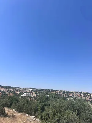 بدر الجديدة حوض الشراب طلاله بنوراما على شارعين