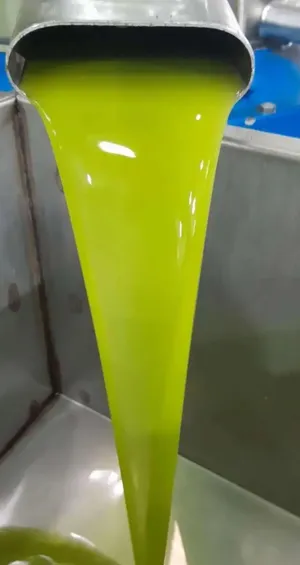 زيت زيتون من مزرعتي الشخصيه زيت العام