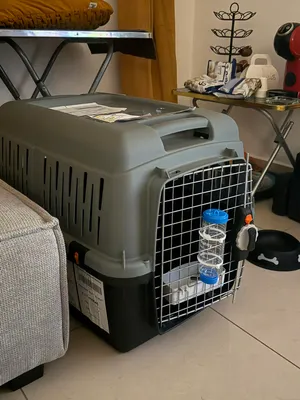 قفص كلاب  Dogs cage