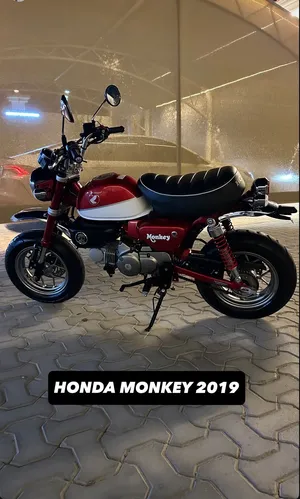 هوندا مونكي 2019