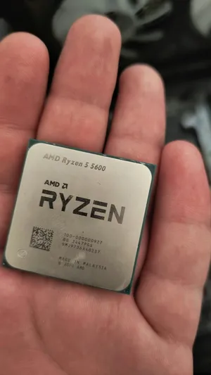 amd r5 5600