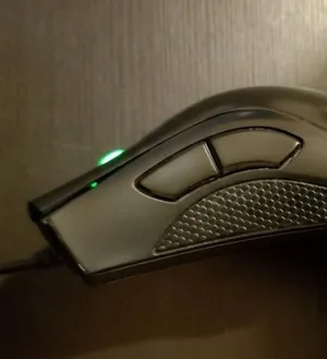 Razer Mouse