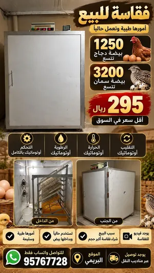 فقاسة بأقل سعر للبيع