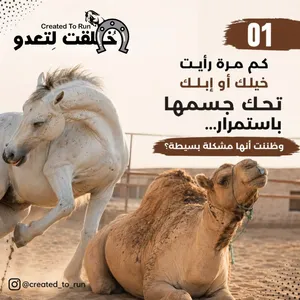 زيت هوكاجي لعلاج المشاكل الجلدية لدى الخيل والابل