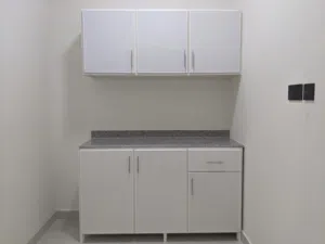 Aluminium kitchen cabinet for sale and make reasonable price