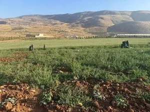Mixed Use Land for Sale in Nablus Al Nassariya