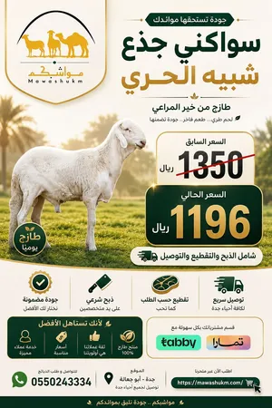 يابلاش ذبحيتك واصله بيتك 1196 ريال