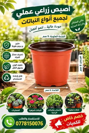 اصيص للعصاريات والتشتيل
