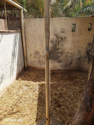 بيع حظيرة حيوانات