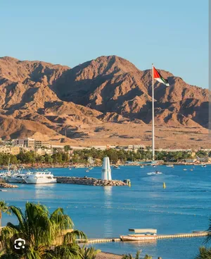 ابحث عن؛ شقه غير مفروشه للأيجار الستوي