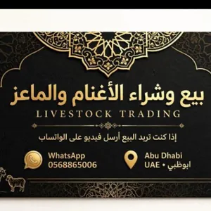مطلوب حلال الجمله