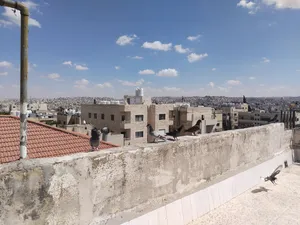 23 حبة فحول وطواير للبيع كوم كامل الحبة على 2.5 موجودات بالهاشمي الشمالي للتواصل