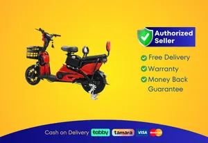 Wind Horse M2 Electric Bike, M2