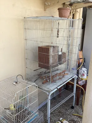 Big cage -with stand -and accessories