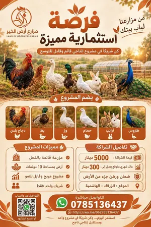 مطلوب شريك لمشروع دواجن