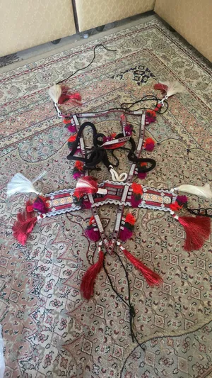 للبيع زانة مزاينه جديده  مع خطام