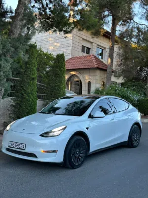 تيسلا LANG RANGE AWD  Y 2022