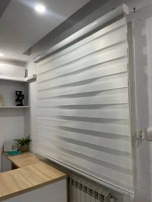 store zibra