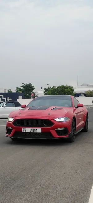 ford mustang for sale