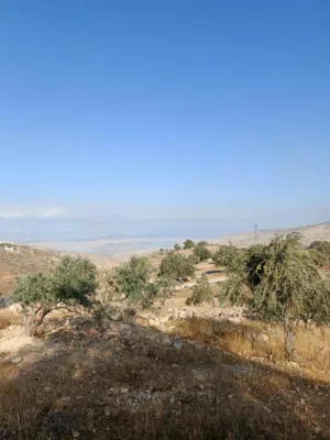 أرض مزروعه زيتون للبيع اطلاله جميله على فلسطين على شارعين مميزه