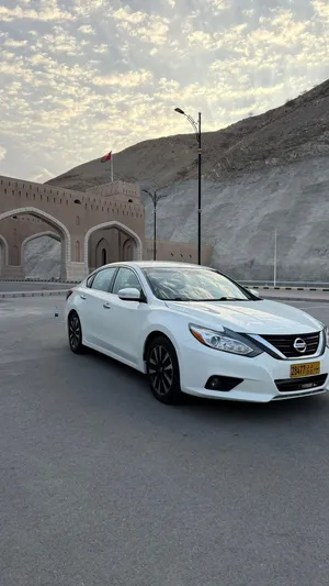 التيماءSl 2018