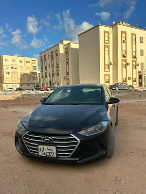 النترا 2017 31 وساهل