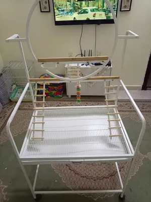 पक्षियों के लिए खेलने का स्टैंड -bird play stand  قابل للتفاوض- استاند لعب للطيور