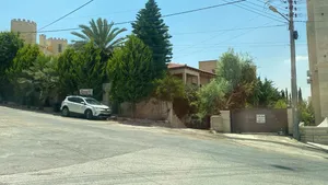 ارض مع بيت للبيع في ضاحية النخيل