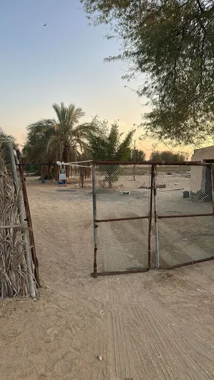 Farm Land for Rent in Al Ain Other