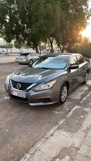 Used Honda Accord in Al Ain