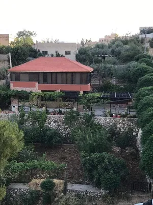 دونم الرباحيه خلف مسجد الملك حسين والمدينة الطبيه من المالك