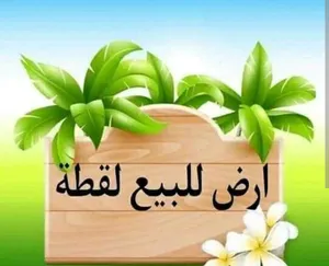 أرض للبيع بشامون