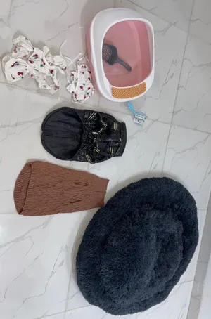أغراض قطط جديدة