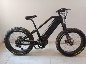 monster fat tyre ebike