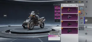 Pubg Accounts and Characters for Sale in Amman