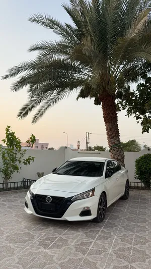 نيسان التيما 2019