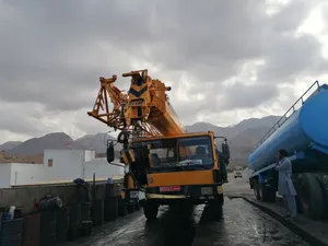 25 Ton cranes for rent