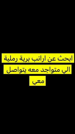 ابحث عن ارانب برية رملية
