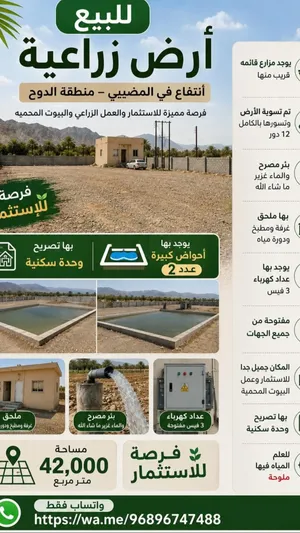 ارض زراعيه