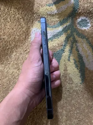 Apple iPhone 12 Pro Max 256 GB in Jerash
