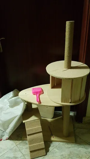 للبيع اغراض قطط