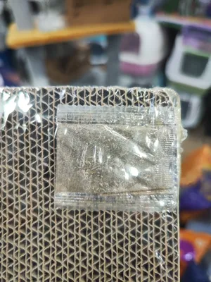 خداشه قطط كرتون تدوم لاكثر من سنه مع كات نيب