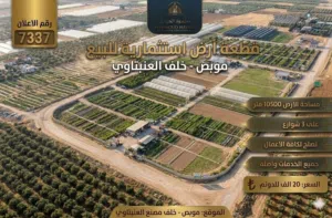 رقم الاعلان (7337) فرصة استثمارية استثنائية في موبص خلف مصنع العنبتاوي تصلح لكافة الاعمال