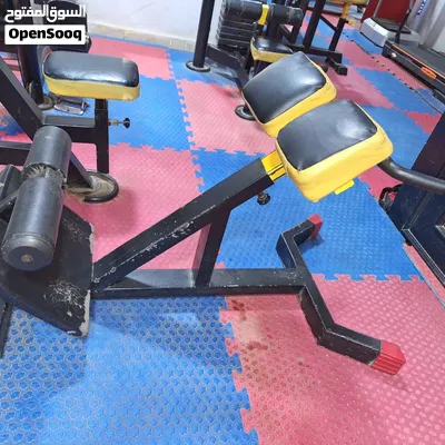 جيم كامل بالارضيات وكل محتويات الجيم بالأجهزة والدنابل والبارات للبيع بسعر مغري 4