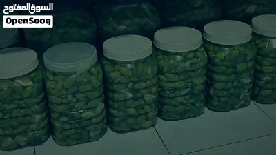 بسم الله ما شاء الله زيتون بلحه شاميه كبيره وفي وسط 4