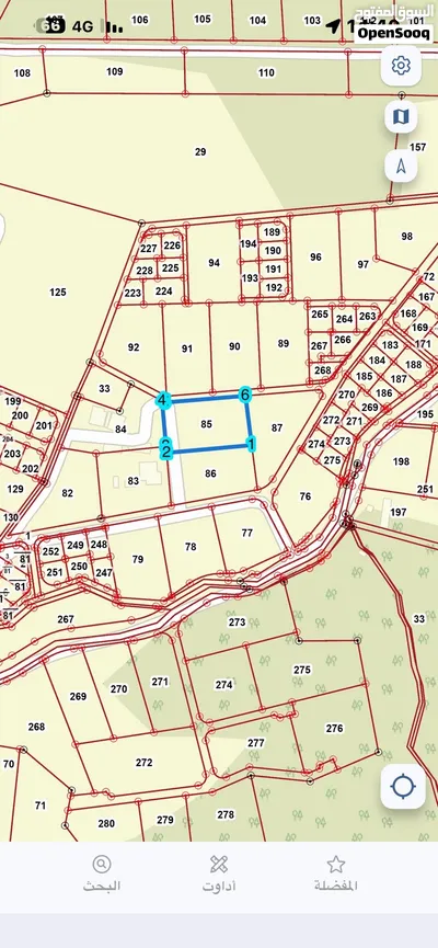 ارض في السرو 4 دونم 4