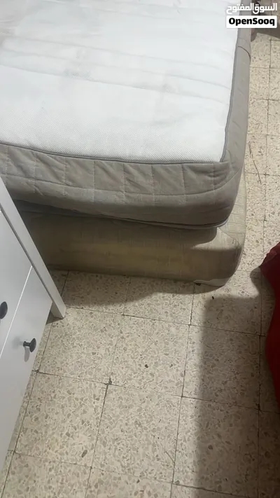 اسرة ايكيا 3